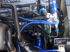 Supra OBX Silicone Lower Radiator hose